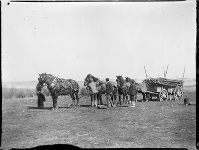 Broomfield, Broomfield And Kingswood, Maidstone, Kent, 06/04/1904 (foto a p/b) de Katherine Jean Macfee