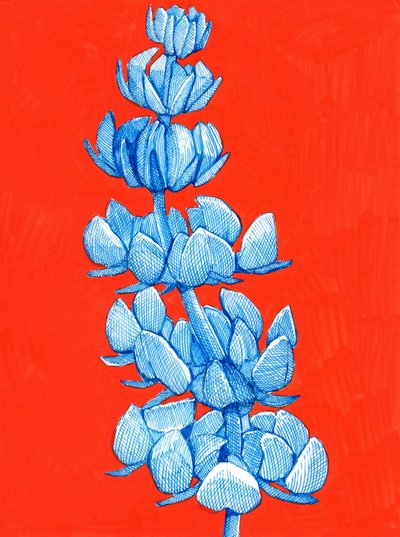  de Katie O'Shea
