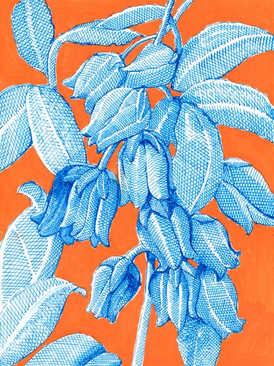  de Katie O'Shea