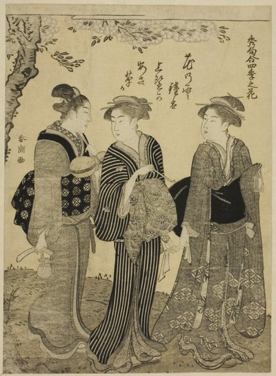 Cherry Blossoms in Spring, da série "Choicest Odes upon Flowers of the Four Seasons (Shuku awase, shiki no hana)" de Katsukawa Shuncho