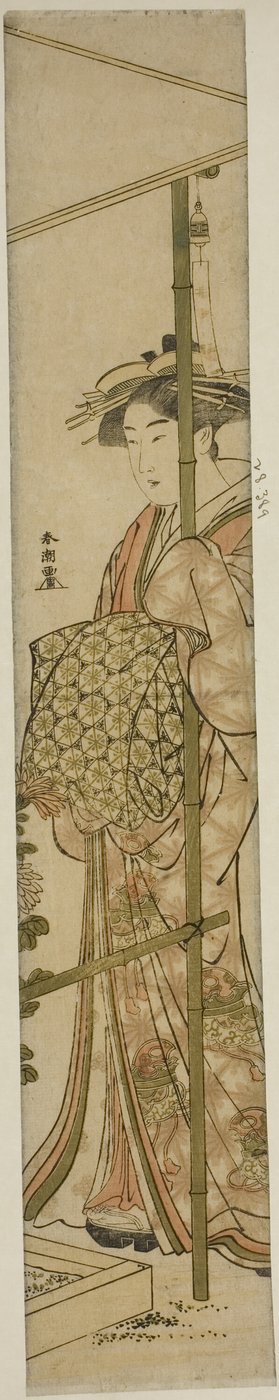 Couresan admirando crisântemos de Katsukawa Shuncho