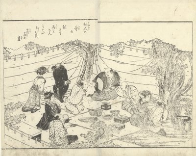 Empresa sob uma cerejeira de Katsukawa Shuntei