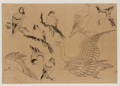Aves, período Edo, final do século XVIII e início do século XIX. de Katsushika Hokusai