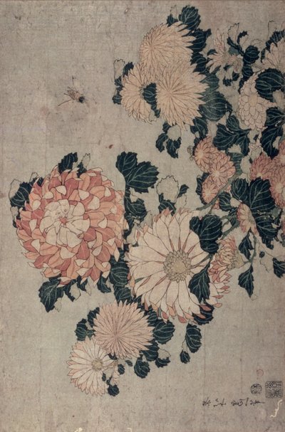 Crisântemos (woodblock cor) de Katsushika Hokusai