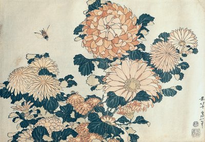 Crisântemos (impressão em xilogravura a cores) de Katsushika Hokusai