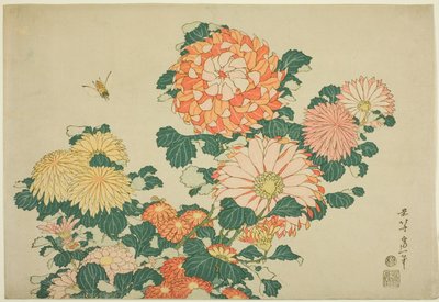 Crisântemos e Abelha, de uma série sem título de Flores Grandes de Katsushika Hokusai