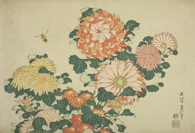 Crisântemos e abelha, de uma série sem título de flores grandes, c.1833-34 de Katsushika Hokusai