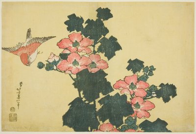 Cotton Roses and Sparrow, de uma série sem título de Large Flowers de Katsushika Hokusai