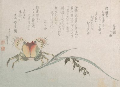 Planta de Caranguejo e Arroz, século XIX. de Katsushika Hokusai