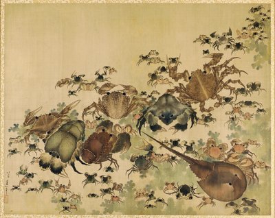 Crustáceos, Período Edo c.1825 (tinta e cor de seda) de Katsushika Hokusai