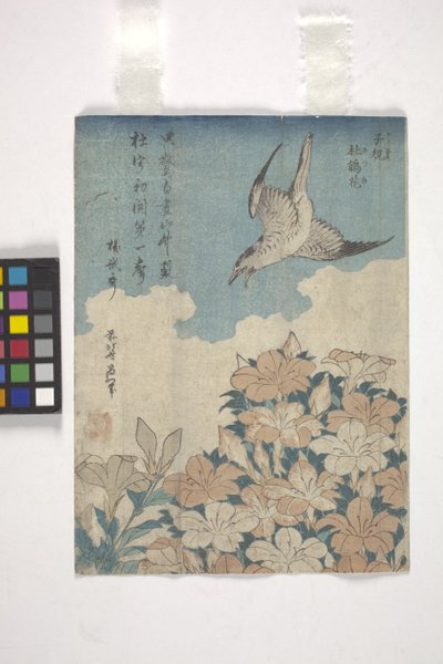 Cuco e Azalea (xilogravura colorida) de Katsushika Hokusai