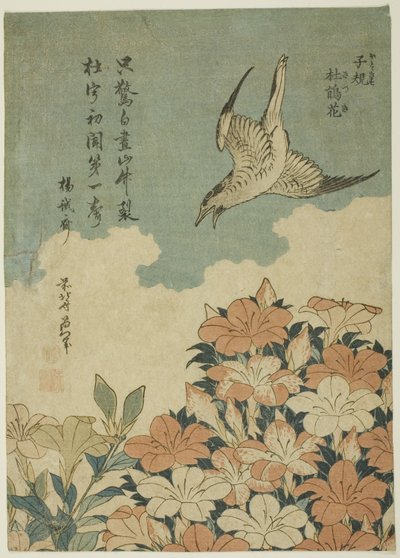 Ward c em pó plano d letterware (Hototogisu, Satsuki) de Katsushika Hokusai