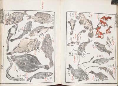 Peixes e criaturas marinhas de Katsushika Hokusai