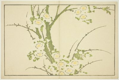 Flores, do livro ilustrado de pinturas realistas de Hokusai (Hokusai shashin gafu) de Katsushika Hokusai