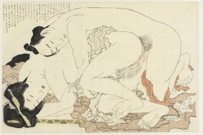 Mulher casada com amante A planta Adonis (título da série) Fukujuso (título da série) de Katsushika Hokusai