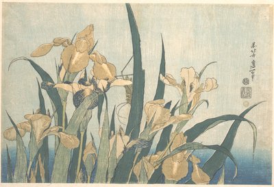 Gafanhoto e Íris de Katsushika Hokusai
