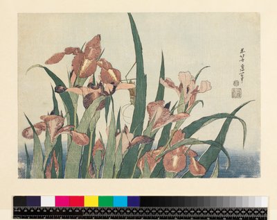Íris e gafanhoto, pub. por Nishimura Eijudo, c.1832, (yoko-e - formato horizontal, impressão em xilogravura a cores) de Katsushika Hokusai