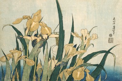 Íris com um gafanhoto, pub.1830 de Katsushika Hokusai