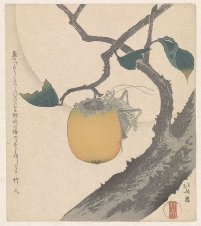 Kaki fruta com gafanhoto de Katsushika Hokusai