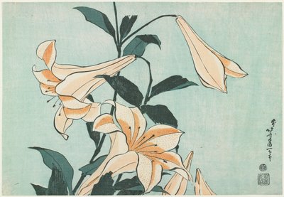 Lírios de Katsushika Hokusai
