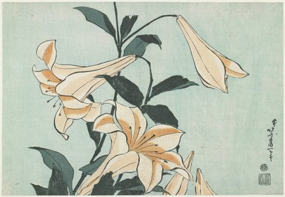 Lírios, c. 1832 de Katsushika Hokusai