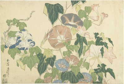 Morning Glories e Tree Frog, da série sem título conhecida como Large Flowers, c.1833-34 (impressão em xilogravura a cores) de Katsushika Hokusai