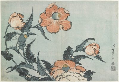Papoulas, c. 1832 de Katsushika Hokusai