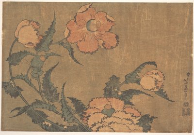 Papoilas ao vento de Katsushika Hokusai