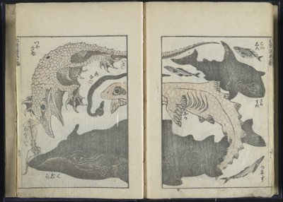 Sketchbook (impressão em xilogravura) de Katsushika Hokusai