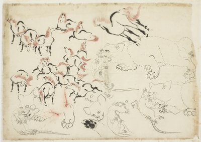 Studies of Horses, Cats and Rats (de "Hokusai Manga"), c.1815-1849 (tinta e cor no papel) de Katsushika Hokusai