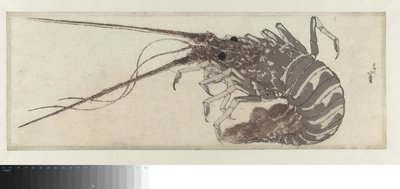 A lagosta de Katsushika Hokusai