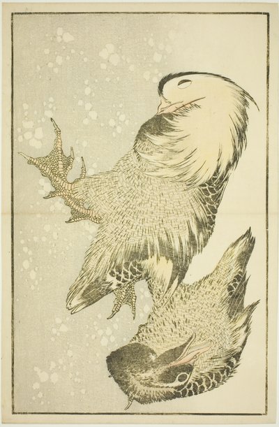 Duas Aves Aquáticas, do Livro Ilustrado de Pinturas Realistas de Hokusai (Hokusai shashin gafu) de Katsushika Hokusai