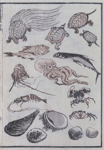 Criaturas submarinas, de um mangá (impressão em xilogravura colorida) de Katsushika Hokusai