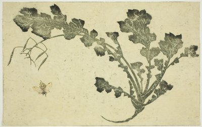 Caule de vespa e nabo, de "O livro ilustrado de pinturas realistas de Hokusai (Hokusai shashin gafu)" de Katsushika Hokusai