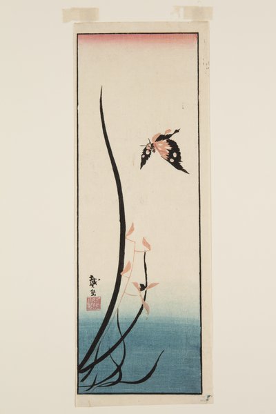Butterfly and Grass (impressão em bloco de madeira a cores) de Katsushika II (fl.1820 50) Taito