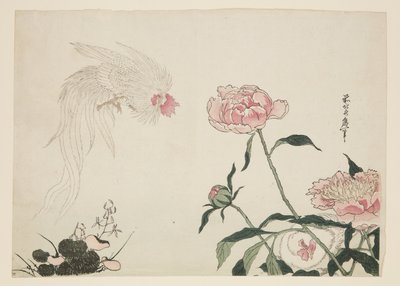 Galos de cauda longa entre as flores (impressão em bloco de madeira a cores) de Katsushika II (fl.1820 50) Taito