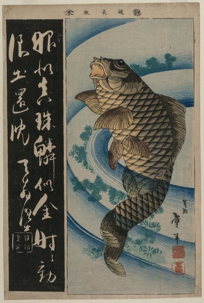 Carpas e algas, c. início da década de 1830. de Katsushika Taito II