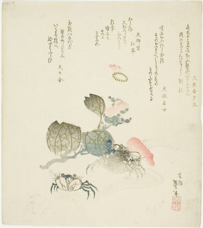 Dois caranguejos por um spray de camélia de Katsushika Taito II