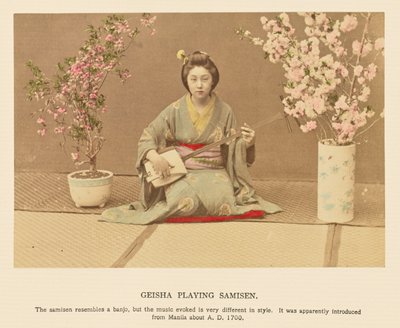Gueixa a tocar samisen de Kazumasa Ogawa