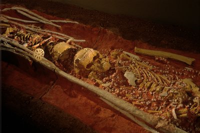 Arqueologia; Hominídeo; Hominídeo; Ev. Humano - Homo sapien Sapiens; Evolução Humana; Gelo A..., 2000 (foto) de Kenneth Garrett