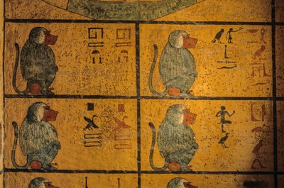 Babuínos, pintura mural no túmulo do rei Tutankhamon; KV52, Vale dos Reis, Tebas..., 2003 (foto) de Kenneth Garrett