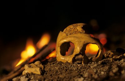 DOH; Neandertals com 130 000 anos, crânio de uma mulher, Krapina 3, Gruta de Krapina, Balcãs de Kenneth Garrett