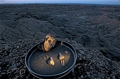 O filho de Lucy, Zeray Alemseged, Australopithicus Afarensis, Etiópia, Paleontólogo,..., 2006 (foto) de Kenneth Garrett