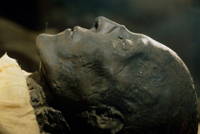 Múmia de Seti I, faraó da XIX dinastia, Novo Reino, 2002 (foto) de Kenneth Garrett