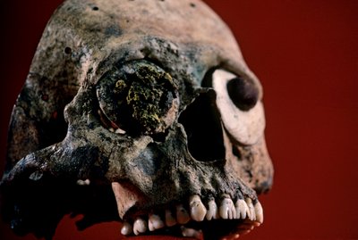 Crânio com dentes limados, Azteca, México, Templo Mayor, 2010 (foto) de Kenneth Garrett