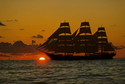 Square Rigger; Dar Pormorza, Sail race, Operation Sail Tall Ships; Sail Training Assoc... de Kenneth Garrett