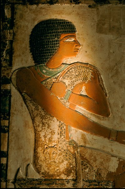 Túmulo de Néfer; Egipto; Arqueologia; Reino Antigo; Saqqara de Kenneth Garrett