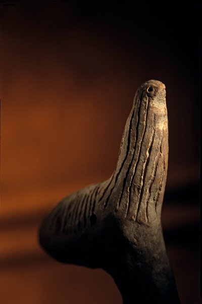 Urkesh; Hurrian; Império; Síria; 2400 a.C.; Giorgio Buccellati; Arqueologia; EAME, artif..., 2004 (foto) de Kenneth Garrett