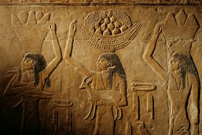 Mulheres transportando pão, aves, cabras e produtos, túmulo de Tiye, Egipto; Antigo Reino; Saqqa... de Kenneth Garrett