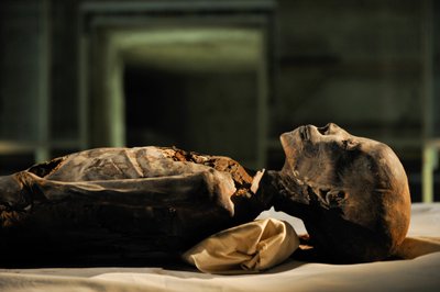 mm7864; 18a Dinastia; Novo Reino; Egipto; ADN; Amostra; Múmia, múmia desconhecida, 2005 (foto) de Kenneth Garrett